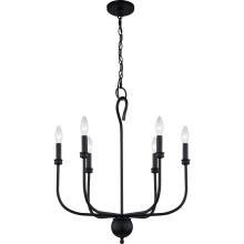 Quoizel BLA5022MBK - Blanche Chandelier